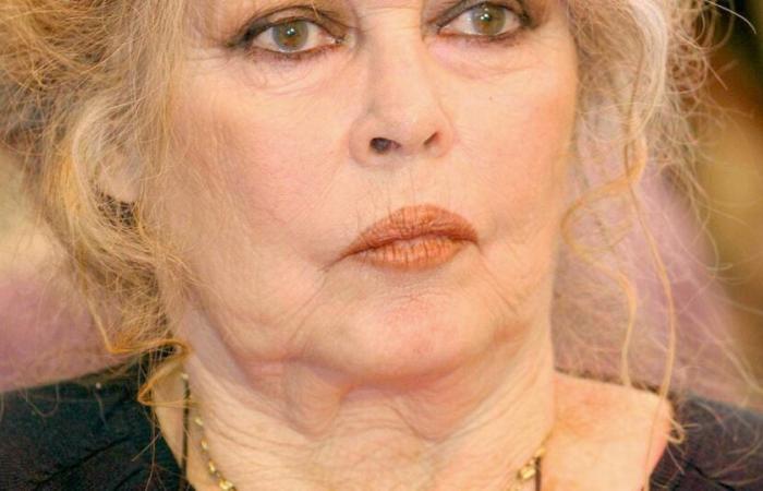 „Schlimmer hätte es nicht kommen können“: Brigitte Bardot durch Panne in Saint-Tropez isoliert, ihren Tieren geht es nicht gut