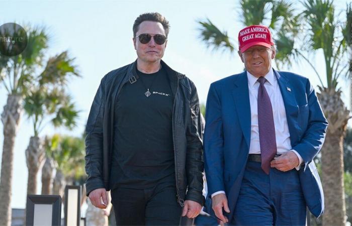 Wie Elon Musks Partnerschaft mit Trump die Wissenschaft in den USA – und darüber hinaus – beeinflussen könnte