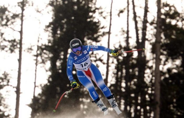 Ski Alpin – Weltcup. Laura Gauché eröffnet die Abfahrt von Beaver Creek, Sofia Goggia startet mit Startnummer 7