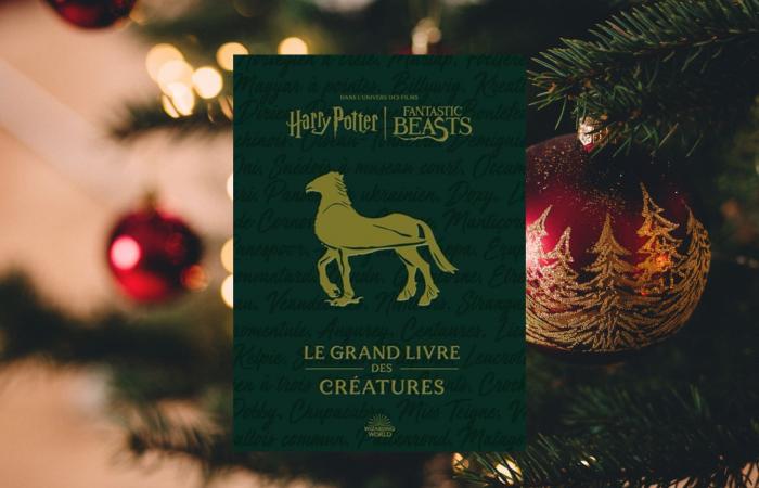 6 Geschenkideen für Harry-Potter-Fans