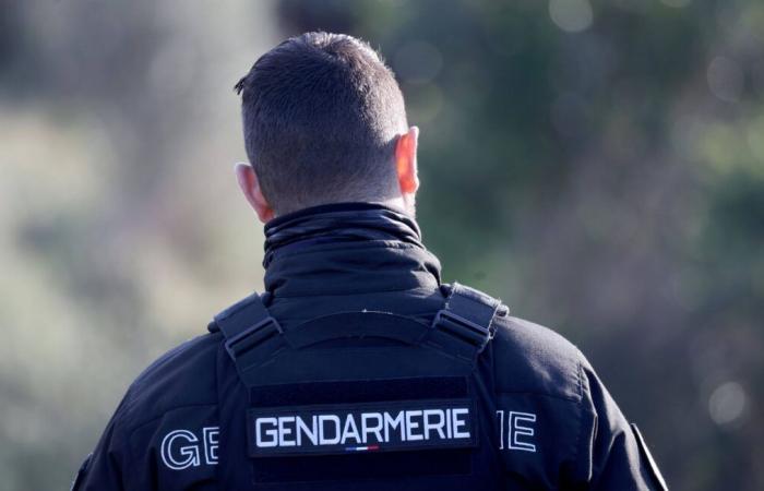 Fünf Menschen getötet, der mutmaßliche Mörder ging zur Gendarmerie