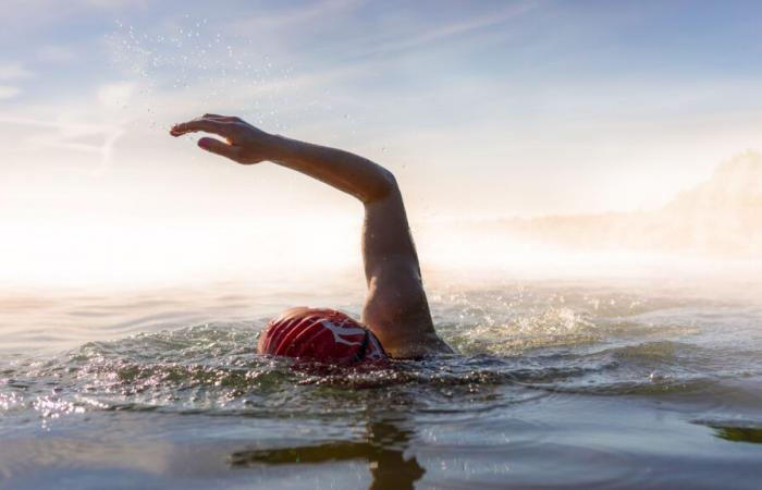 Eine neue Generation von Wasserrobotern bricht Geschwindigkeitsrekorde beim Schwimmen