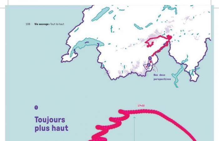 Buch: Einhundert Infografiken erzählen die Geschichte der Schweizer Berge