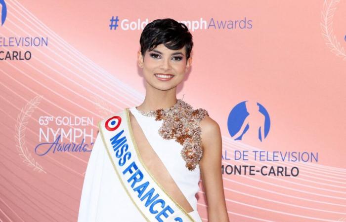 Wie hoch ist das Gehalt von Miss France wirklich?