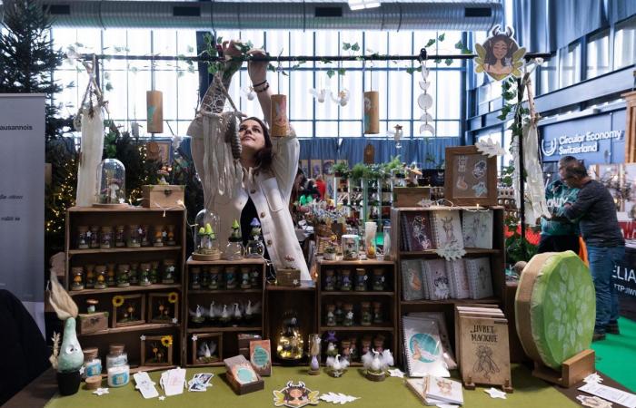 Ein untypischer Weihnachtsmarkt in den nördlichen Hallen von Beaulieu-Lausanne