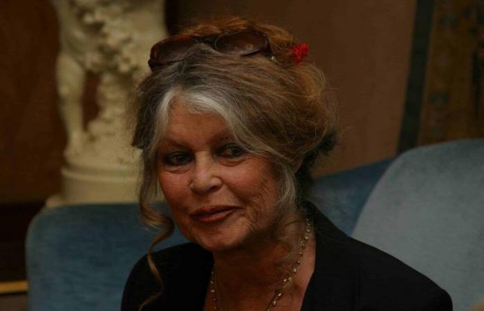 Brigitte Bardot verliert die Kontrolle in ihrem Haus im Var: „Wegen dieser m…“