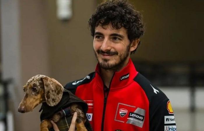 MotoGP, Pecco Bagnaia, das schlagende Herz von Ducati: „Es ist nicht einfach, in die Herzen der Ducatistas einzudringen“