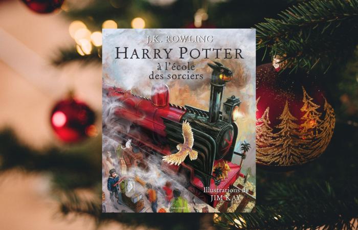 6 Geschenkideen für Harry-Potter-Fans