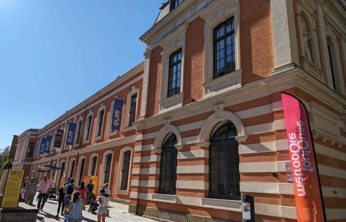 Landwirtschaftsmesse, Halle des Machines, Weihnachtsmärkte…Was kann man dieses Wochenende in Toulouse unternehmen?