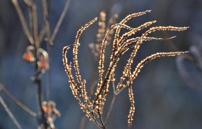 Es wird wieder sonniger und wärmer