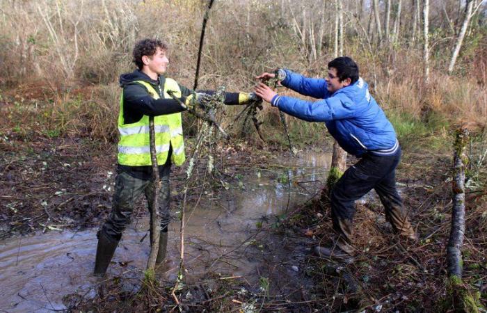 Capvern. Dieses Feuchtgebiet taucht nach zehnjähriger Arbeit wieder auf