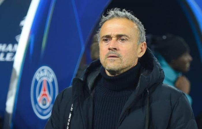 PSG – OL: Luis Enrique wirft Blumen nach Lyon und reagiert auf das Cherki-Gerücht