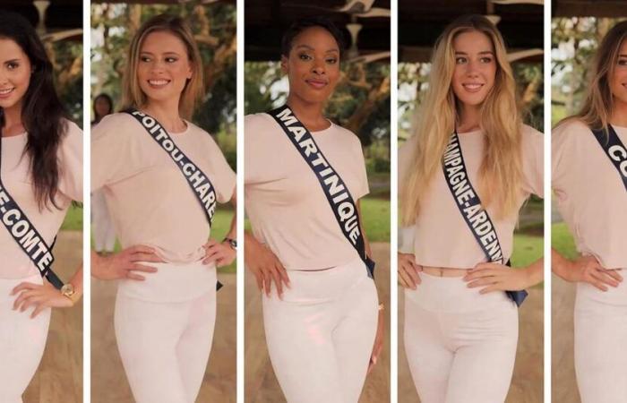 Martinique, Korsika, Limousin… Warum gewinnen bestimmte Regionen nie (oder fast nie) bei Miss France?