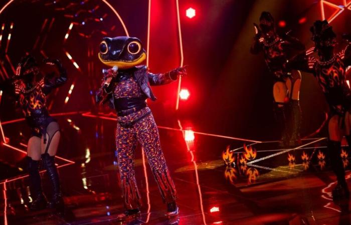 “The Masked Singer”: Sie war der Feuersalamander