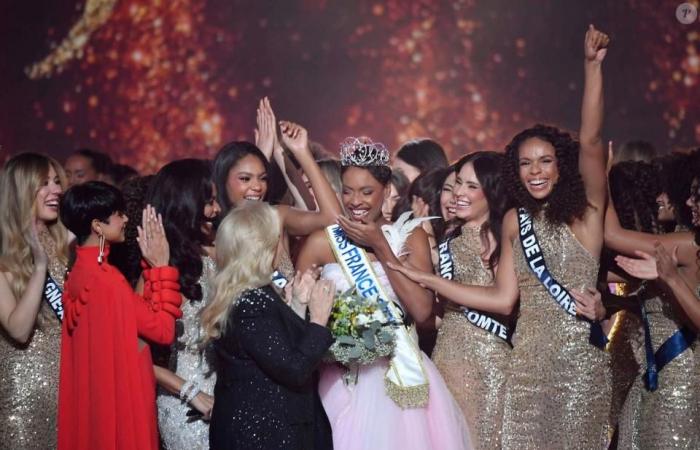 Eine ehemalige Miss France, wütend über die Ergebnisse, greift bestimmte Zuschauer an