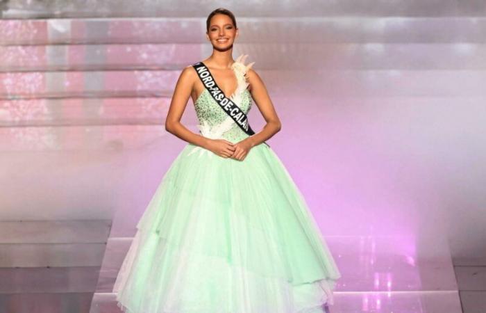 Die öffentliche Abstimmung fiel zugunsten von Miss Nord-Pas-de-Calais aus