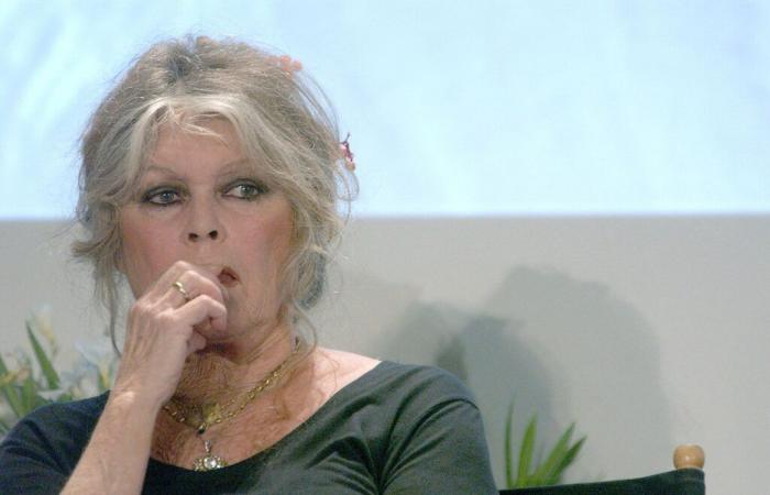 Brigitte Bardot steckt in St-Tropez in Schwierigkeiten, sie nimmt kein Blatt vor den Mund und prangert die Situation an