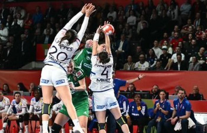 Die Bleues führen immer noch mit knappem Vorsprung… Verfolgen Sie das kleine Finale der Handball-Europameisterschaft