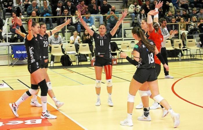 Liga A: Charakter, Entspannung und ein toller Sieg für Quimper Volley