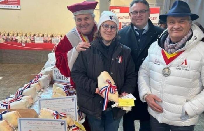 Habe geschworen. Dieser junge Züchter aus Courlaoux gewinnt den Ausnahmepreis der Glorieuses de Louhans