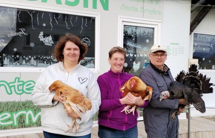 Truthahn, Kapaune, Hühner … In Calvados bereiten sie 3.000 hochwertiges Geflügel für Weihnachten zu