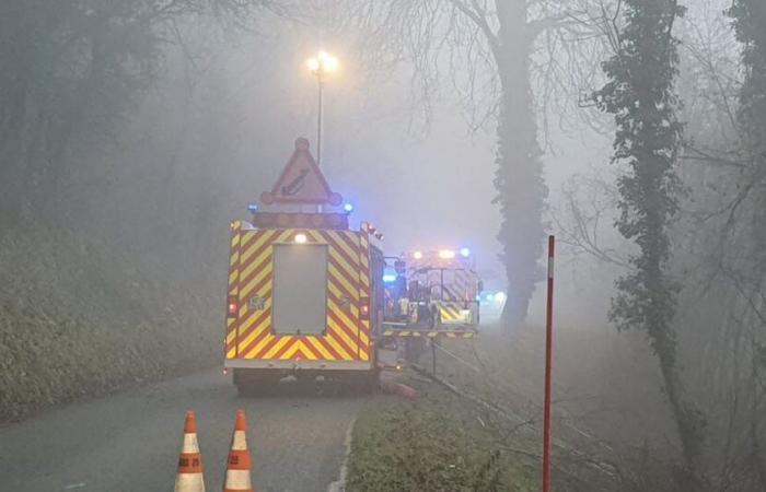 Zweifel. Eine 21-jährige Frau kommt bei einem Unfall in Vuillafans ums Leben