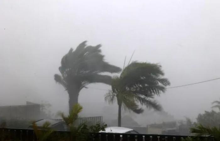 Einem vorläufigen Bericht zufolge forderte der Zyklon „Chido“, als er Mayotte traf, mindestens 14 Tote und 9 Verletzte