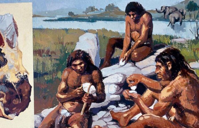 Neandertaler lebten 7.000 Jahre lang bei uns