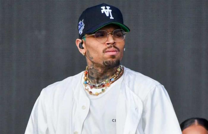 Chris Brown im Visier einer südafrikanischen NGO