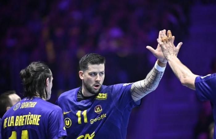 „Wir sind nicht in Panik geraten“ (Liqui Moly Starligue)