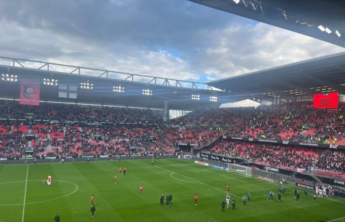 Stade Rennes – Angers: Gegen SCO Chaos vermeiden