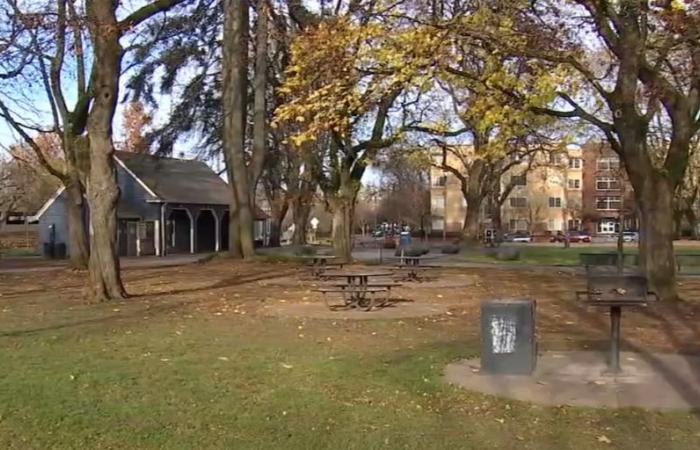 Führungskräfte von Portland fordern einen neuen Stadtrat, der sich weiterhin für einen sichereren Albina-Park einsetzt