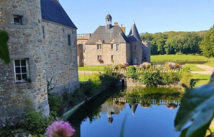 Durch ihre Fotos beleuchtet Maud die Landschaften der Normandie