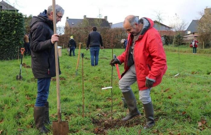 Dank seines gemeinsamen Obstgartens möchte dieser Côtes-d’Armor-Verein das Bewusstsein dafür schärfen