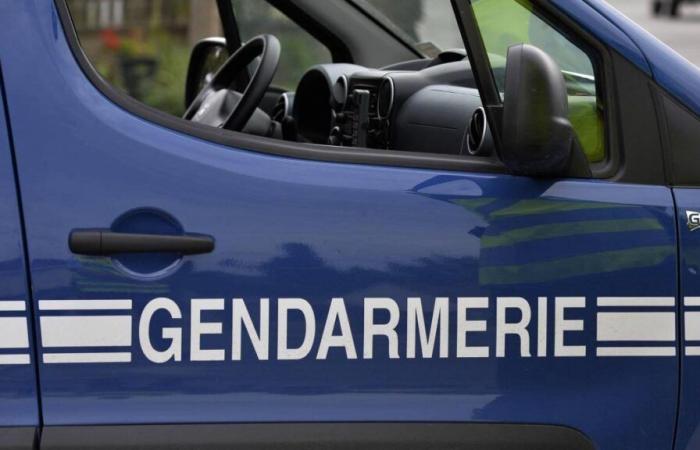 La Tranche-sur-Mer Vendée Gendarmerie. Aufklärung des Drogenhandels…. (Hrsg. Les Sables-d’Olonne)