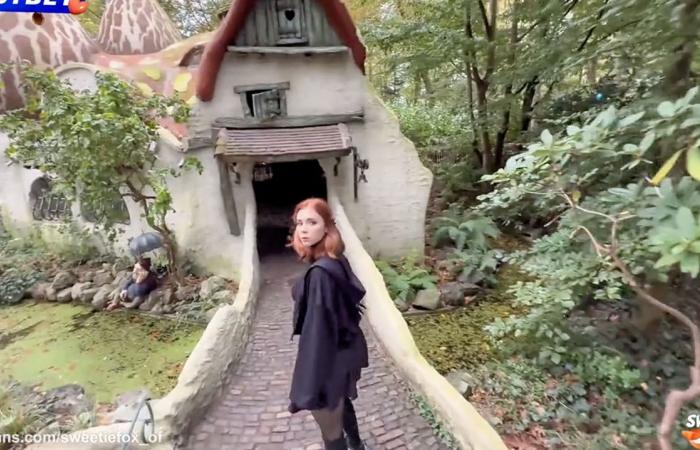 Ein über 18-jähriges Model spaziert in einem scharfen Video auf einer Pornoseite durch Efteling