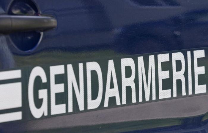 Ein Mann wurde in Saint-Vallier, in der Drôme, mit einem Messer getötet, sein Nachbar in Polizeigewahrsam, eine Untersuchung wegen Mordes wurde eingeleitet