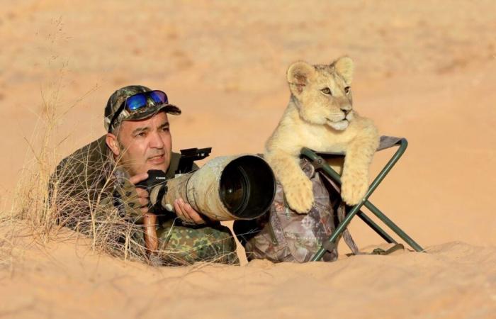 1 m von einer sprungbereiten Kobra entfernt: Djamal Hadj Aissa fängt das wilde Foto des Jahres 2024 ein