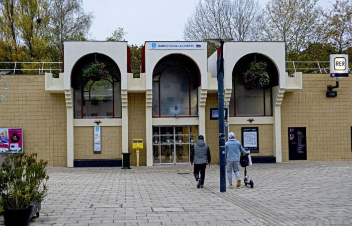 Ein 15-jähriger Junge wurde in einer RER-E-Station mit einem Messer verletzt