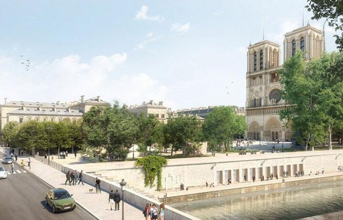 Der Platz vor Notre-Dame de Paris wird in eine Lichtung verwandelt