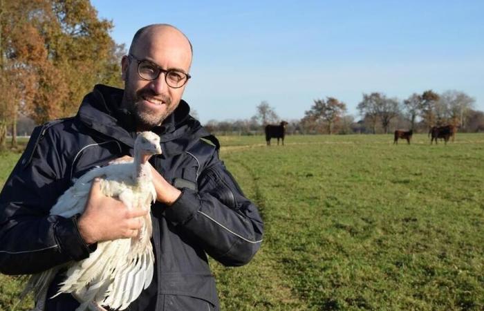 Kaufen Sie dieses Jahr Ihren Weihnachtstruthahn direkt bei diesem Produzenten aus der Region Loire-Atlantique