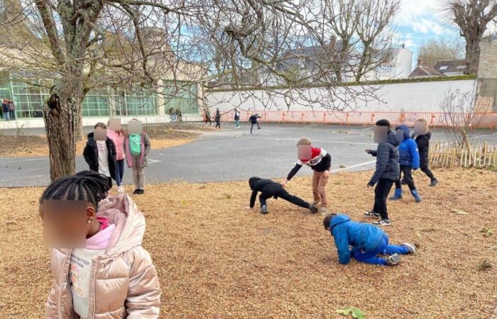 In dieser Schule in Seine-et-Marne entsteht ein neuer Spielplatz für Kinder