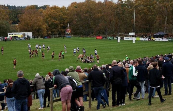 Rugby. In England wurde ein Spiel abgebrochen, nachdem sich ein Schiedsrichter verletzt hatte. Sport