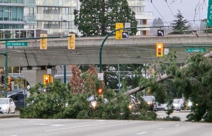 Ein Toter und ein Haus wurden aufgrund starker Winde in B.C. abgerissen.