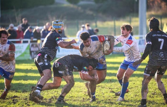 Rugby (Bundesliga 1). Von Gujan-Mestras geschlagen, kann Layrac nicht mehr gewinnen