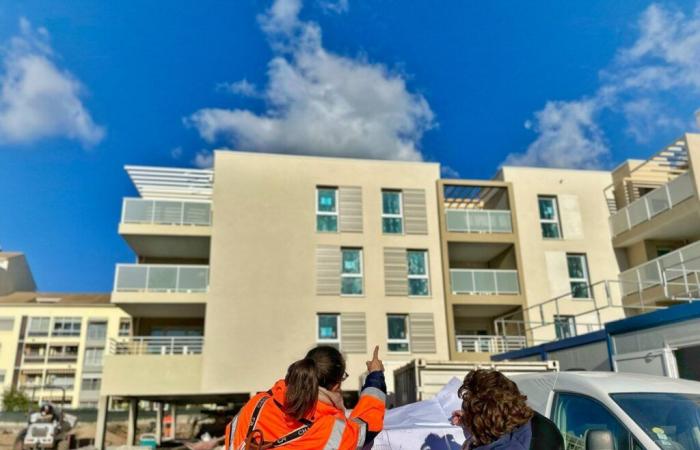 Wie ist das Profil neuer Immobilienkäufer in Hyères? Das verraten die Zahlen