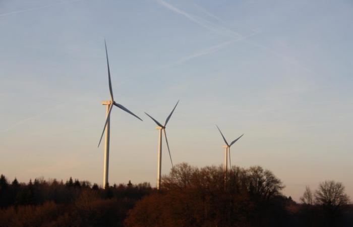 Haut-Doubs. Die CCGP stimmt einstimmig für einen Antrag zur Unterstützung von Chafviens, gegen das Windprojekt – Doubs: alle lokalen Nachrichten