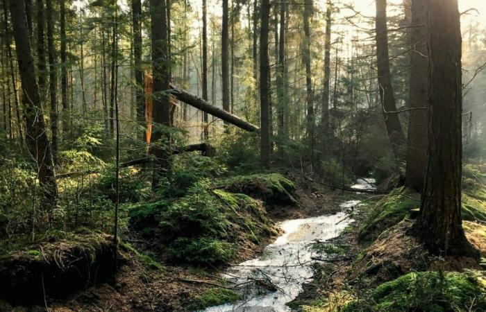 Die Monts Fire Authority und ihre Gewerkschaft erzielen eine Einigung