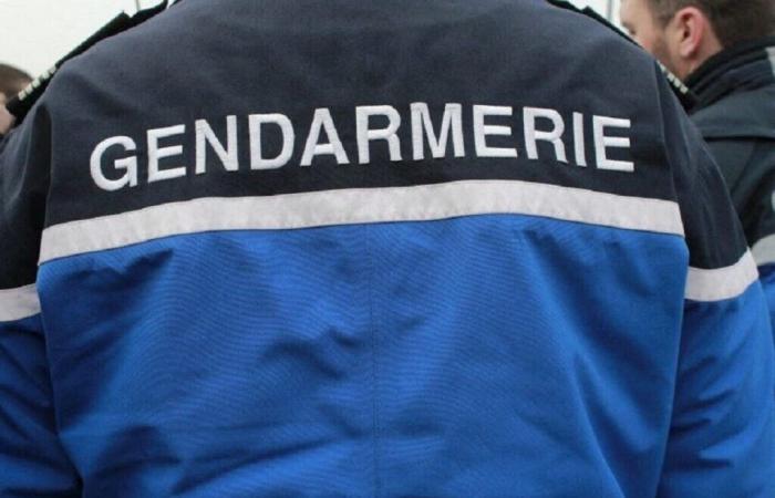 Die Polizei entdeckte zufällig einen bewusstlosen Mann auf einem Weg in der Vendée und rettete ihm das Leben