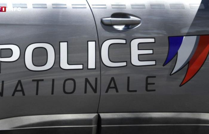 15-jähriger Teenager in Haute-Vienne getötet: Inès hat rund vierzig Mal auf ihr Telefon eingestochen